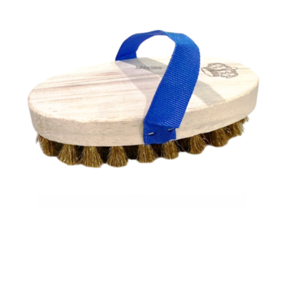 แปรงทองเหลืองรูปไข่ (โหล)