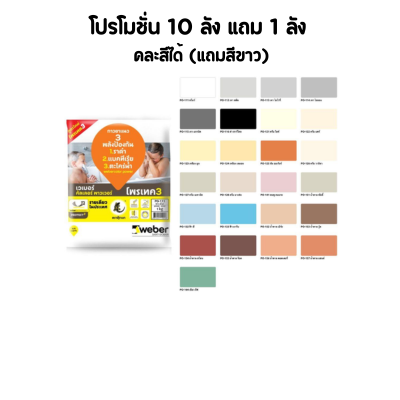 ยาแนวกันเชื้อรา ตุ๊กแก (ลัง)